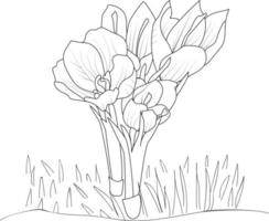 Hand-drawn saffron flower bouquet vector sketch illustration engraved ink art botanical leaf branch collection isolated on white background coloring page and books.