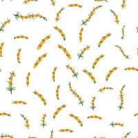 Sea buckthorn seamless pattern. Twigs with berries and leaves. Template with orange fresh berries for wallpaper vector