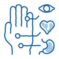 diferentes puntos de impacto de órganos en el brazo doodle icono dibujado a mano ilustración vector