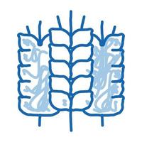 spikelets of wheat doodle icon hand drawn illustration vector