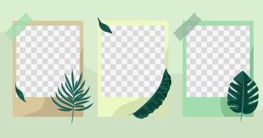 plantilla de conjunto de marco de foto con lindo elemento de hoja decorativa vector