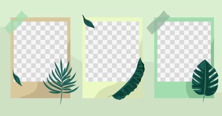 photo frame set template with cute decorative leaf element