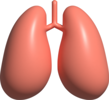 Ilustración 3d de pulmones png