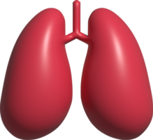 Ilustración 3d de pulmones png