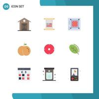 9 Universal Flat Color Signs Symbols of target peach usa fruit web Editable Vector Design Elements