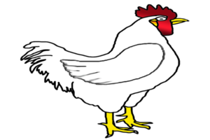 logotipo de gallo png