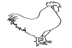 logotipo de gallo png