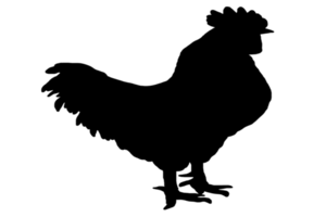 logo of rooster png