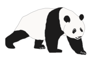 logo illustratie grafisch van panda png