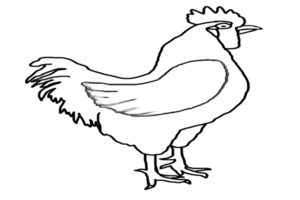 logo of rooster png