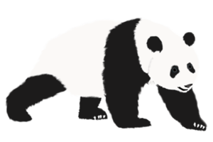 gráfico de ilustração de logotipo de panda png