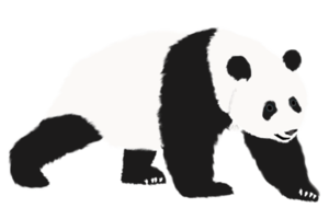 logotyp illustration grafisk av panda png