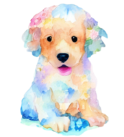 puppy Aan wit, hond png