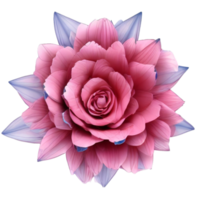 dahlia flower isolated png