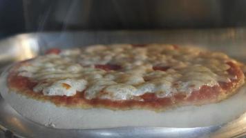 Preparing sea food pizza in oven video