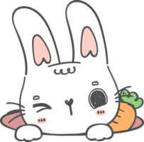 Cute happy smile white bunny rabbit with carrot in hole cartoon doodle animal character hand drawing png