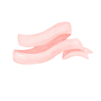 carino acquerello rosa rosa morbido nastro bandiera etichetta disegno illustrazione png