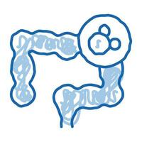 gut in stomach doodle icon hand drawn illustration vector