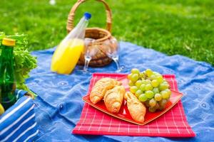 Picnic basket with fruits, bread and bottle of white wine photo