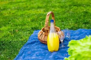 cesta de picnic con frutas, pan y botella de vino blanco. foto