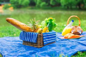 cesta de picnic con frutas, pan y botella de vino blanco. foto