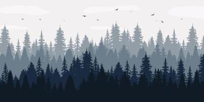 Spruce pine forest natural landscape background vector