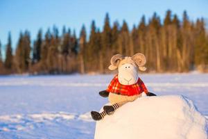 New year card with sheep a symbol of 2015 on snow outdoor photo