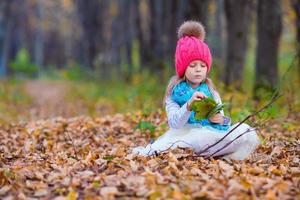 Adorable little girl with autumn leaves in the beautiful park photo