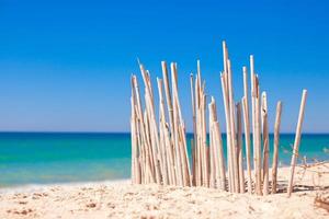 Dry fence of reeds on a deserted coast in Faro, Portugal photo