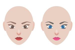Woman portrait. Woman head without hair. Model for hairstyle. Just add any style of haircut. Bald woman, no hair. vector