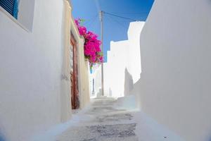 hermosa calle vacía con buganvillas en la antigua casa blanca tradicional en emporio santorini, grecia foto