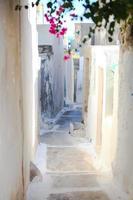 Traditional white empty street at small Emporio town in the Greek Cyclades photo