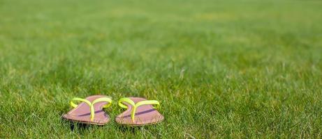 Closeup of bright flip flops on green grass photo