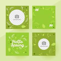 hola primavera plantilla de publicación en redes sociales con patrón de hojas verdes. plantilla editable con un lugar para una foto. ilustración vectorial vector