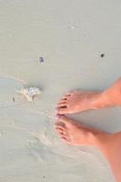 Piernas delgadas bronceadas femeninas en la playa tropical de arena blanca foto