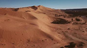 vista aérea del desierto del sahara, cerca de taghit, argelia video