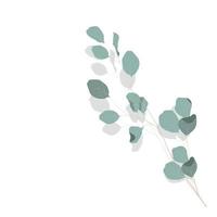 Vector stock illustration of eucalyptus leaves. Delicate tropical leaves for the bride's bouquet. A branch of mint-colored flowers. Spring or summer flowers for invitation, wedding or greeting cards.