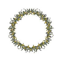 Olive wreath vector stock illustration.  Hand painted floral border with olive fruit and tree branches with leaves isolatedon white background. For design, print and fabric