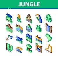 conjunto de iconos isométricos del bosque tropical de la selva vector