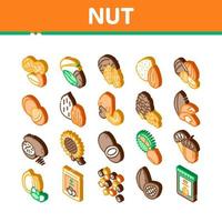 Nut Food Different Isometric Icons Set Vector