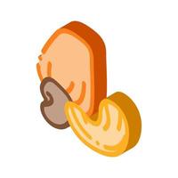 cashew nut icon vector outline illustration