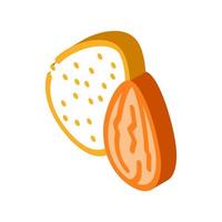 almond nut icon vector outline illustration