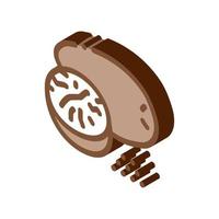 nutmeg nut isometric icon vector illustration