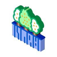 jardín de frutas icono isométrico ilustración vectorial vector