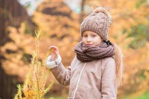 Portrait of adorable little girl outdoors at beautiful autumn day photo