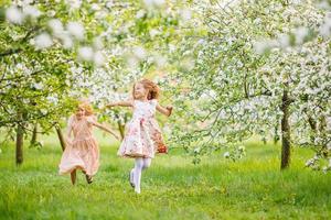 Adorable little girls in blooming apple tree garden on spring day photo