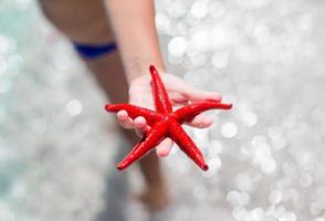 Closeup starfish at beach background water photo