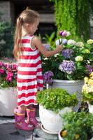 Sweet little girl holding a bouquet of tulips in the yard photo