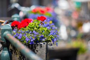 Bikes on the bridge with flowers in Amsterdam, Netherlands photo