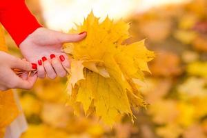 primer plano de hojas de arce amarillas al aire libre en el hermoso parque de otoño foto